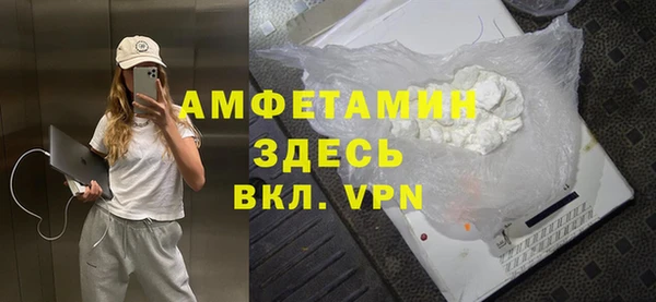 шишки Новодвинск