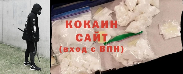 шишки Новодвинск