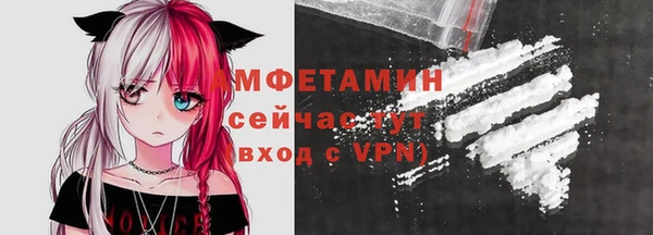 шишки Новодвинск