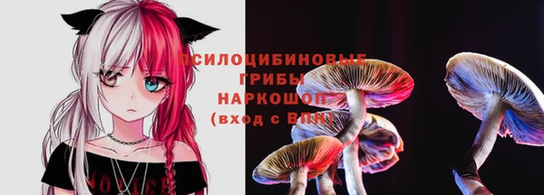 круглые Няндома