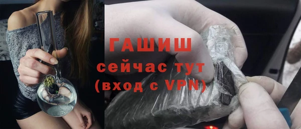шишки Новодвинск