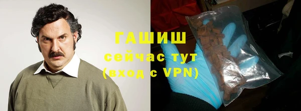 шишки Новодвинск