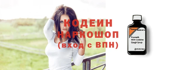 шишки Новодвинск