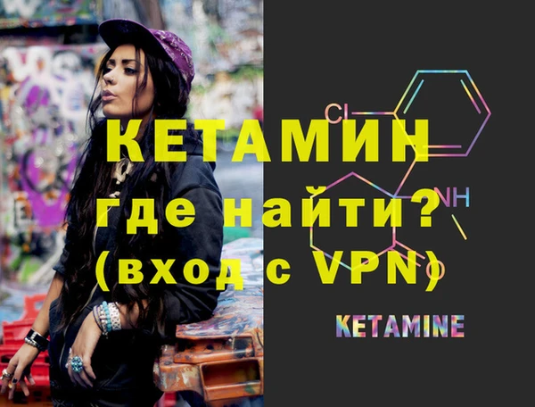 шишки Новодвинск