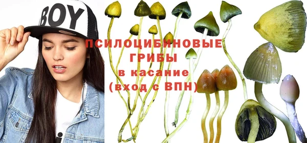 круглые Няндома