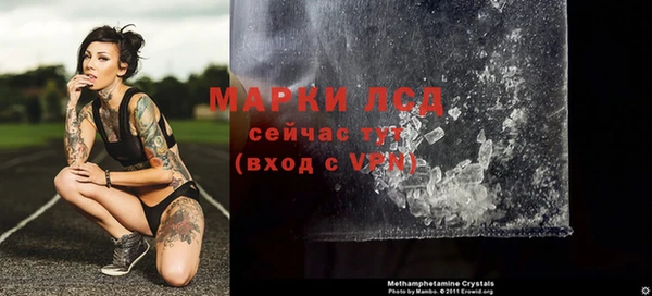 шишки Новодвинск