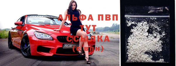 шишки Новодвинск