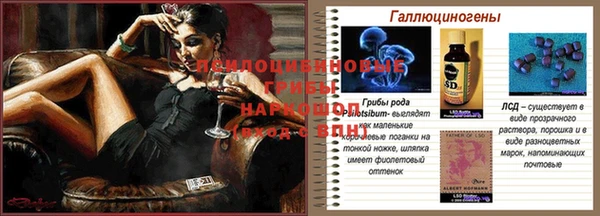 наркотики Новозыбков