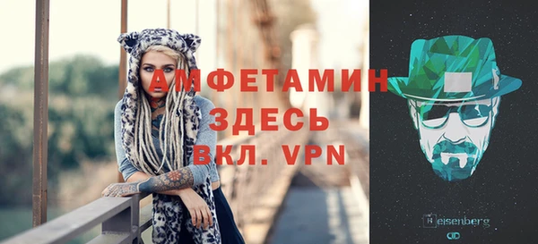 шишки Новодвинск