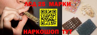 СК Гатчина