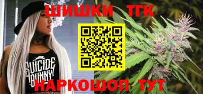 СК Гатчина