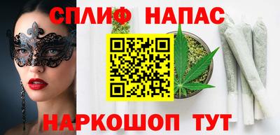 индика Гай