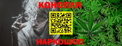 сатива Абинск