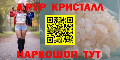 СК Гатчина