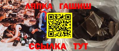 спайс Гагарин