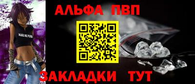 СК Гатчина