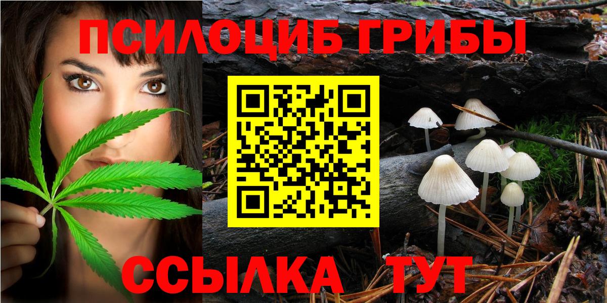 Россия  Псилоцибиновые грибы Psilocybe  Галлюциногенные грибы Psilocybe  Вход с VPN 