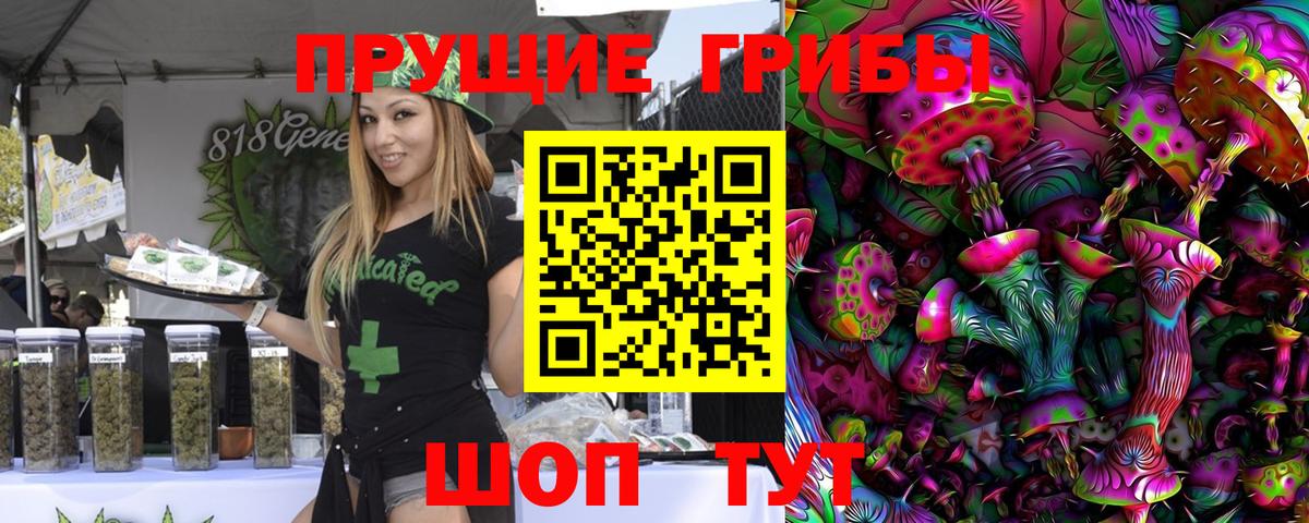 Псилоцибиновые грибы Cubensis Россия