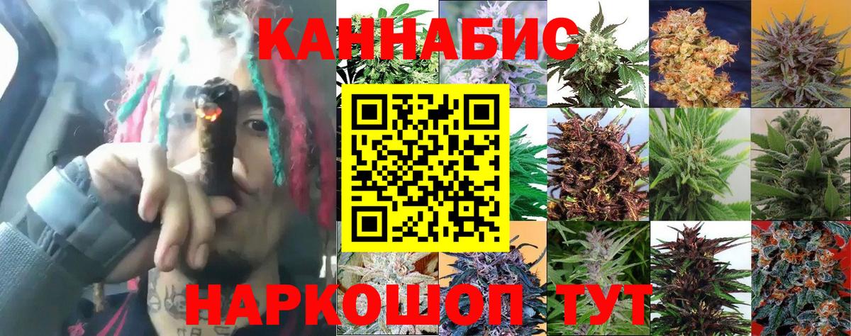Каннабис White Widow  Марихуана SATIVA & INDICA  Россия  Шишки марихуана гибрид 